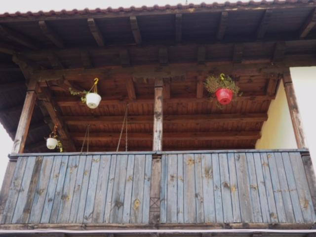 Guest House Yana Turkasheni Ngoại thất bức ảnh