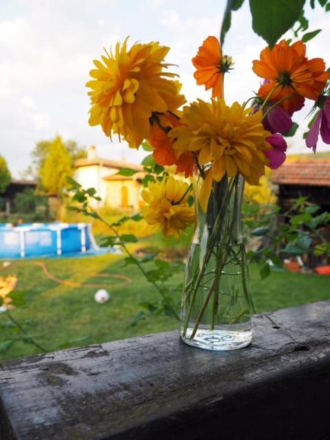 Guest House Yana Turkasheni Ngoại thất bức ảnh